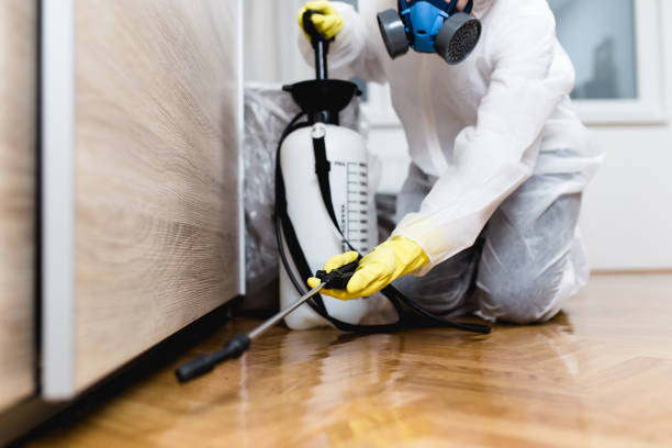Best Affordable Pest Control Services  in Edinboro, PA