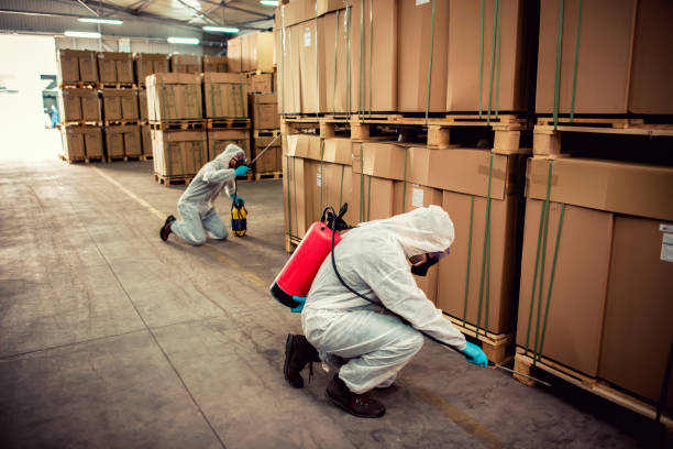 Best Local Pest Control Services  in Edinboro, PA