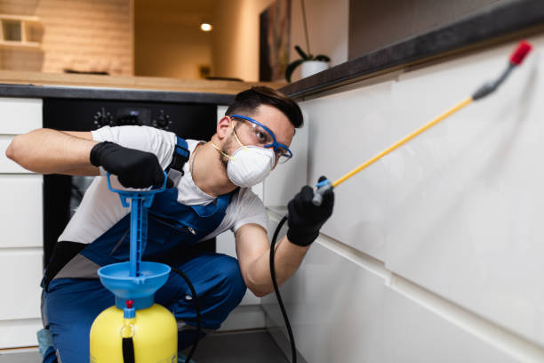 Best Mosquito Control Services  in Edinboro, PA