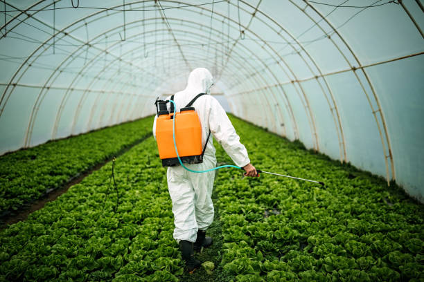 Pest Control Cost in Edinboro, PA