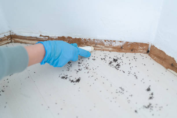 Best Residential Pest Control  in Edinboro, PA