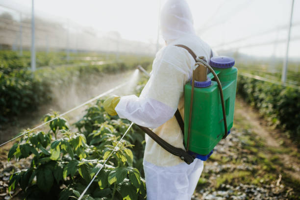 Best Insect Control  in Edinboro, PA